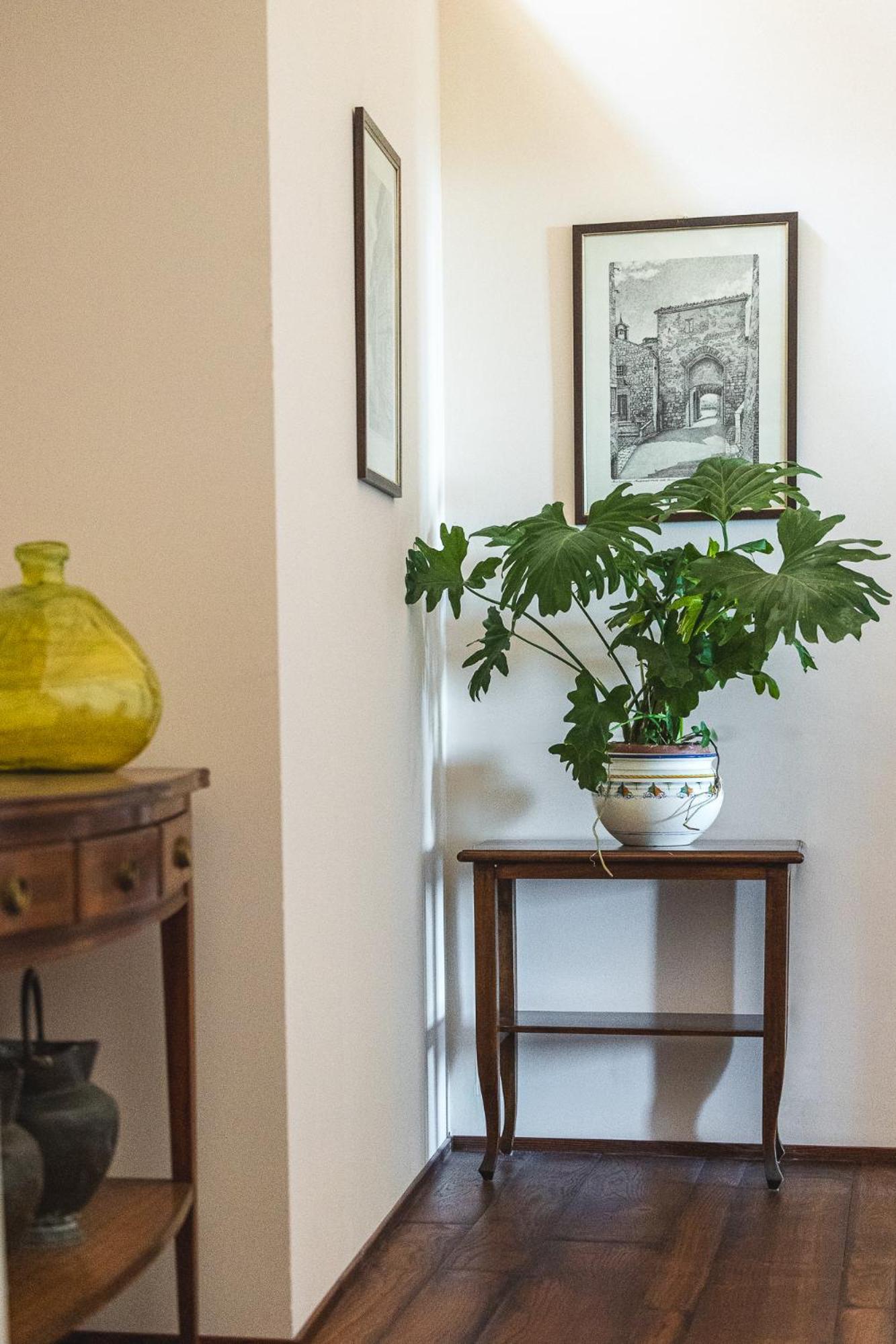 Residenza D'Epoca Il Grifoncello Bed & Breakfast มอนติปุลเชียโน ภายนอก รูปภาพ